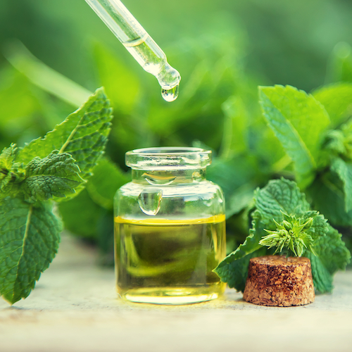 Homeopathie-pharmacie-estran